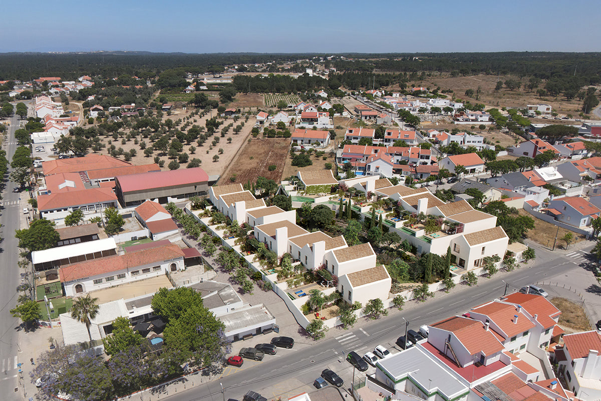 06_Centro_Bird_B_V6 copy